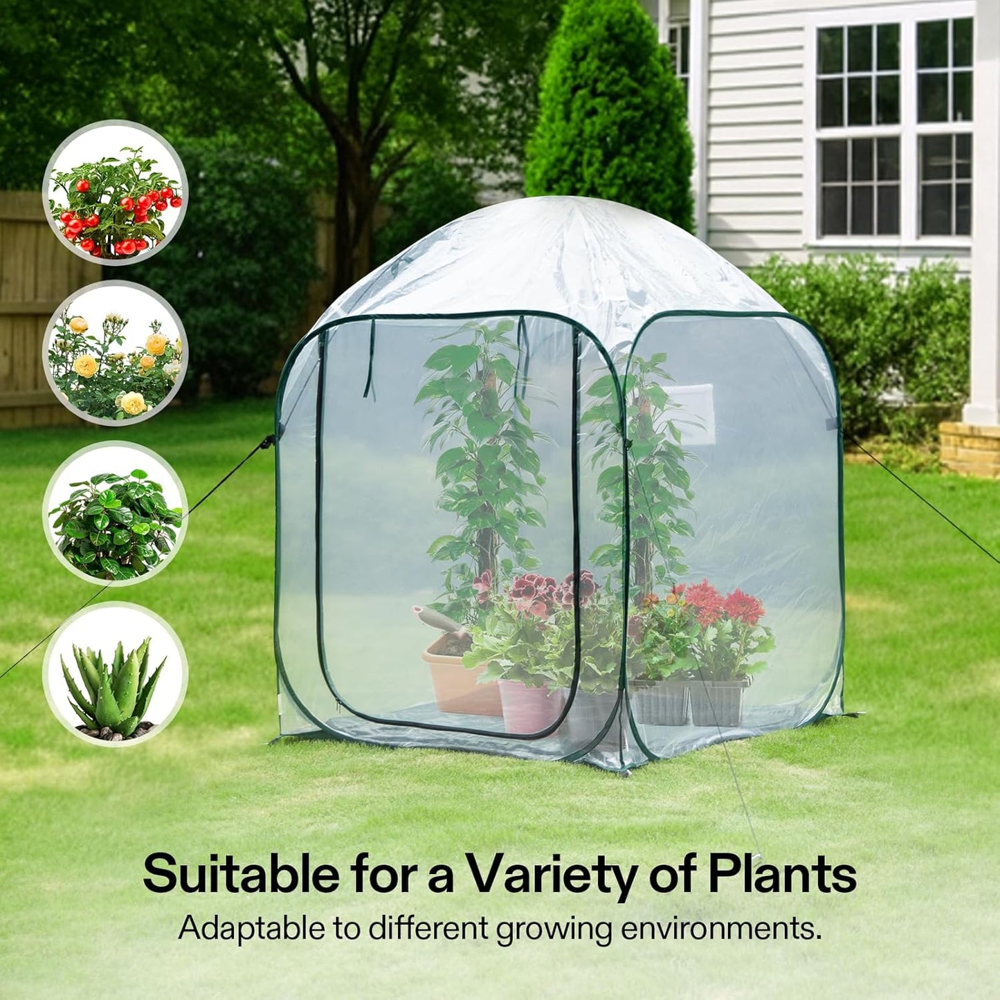 VIVOSUN 49x49x63-Inch Portable Walk-in Greenhouse, with PVC Cover & Detachable Base, Instant Pop-up and Folding, Mini Greenhouse with Roll-Up Door & Mesh Window for Indoor Outdoor, Wind Ropes Included