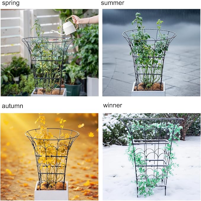 COOOXIM 27.5 x 22 Inches Peony Cages & Supports - Heavy Duty Metal Plant Obelisk Trellis for Outdoor Use, Perfect for Peonies, Roses, and Climbing Vines - Durable Garden Support Ring in M Shape