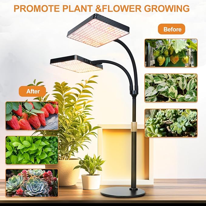 FECiDA 2026 2Head Tabletop Grow Lights for Seed Starting, Indoor Plants, Bonsai, 50 Watt Power Draw, NO Need Adapter, Super Bright and Big Coverage, 4/8/12/16/20 Hr Timer, 16"-24" Height Adjustable