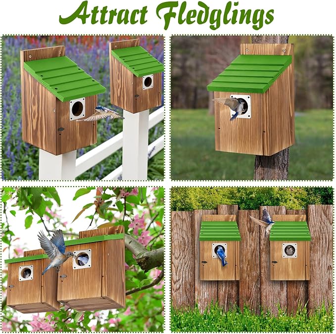 Dreyoo 4 Pack Bluebird Houses for Outside with Metal Predator Guard, 1-1/2" Entrance Hole Wooden Blue Bird Houses for Outdoors, Bluebird Nesting Box (Green Roof, Burnt Wood Body)