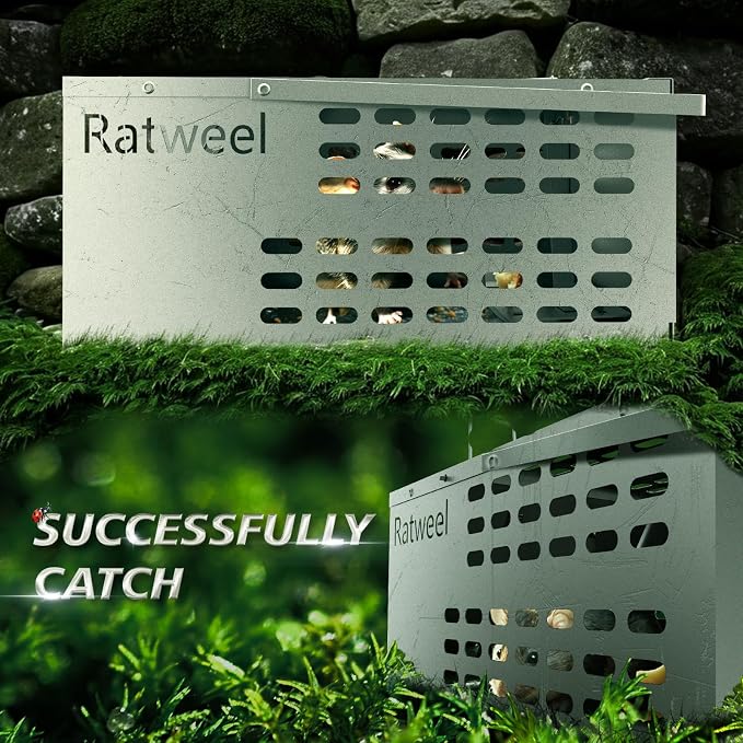 Humane Rat Trap Live Mouse Trap Indoor Catch and Release Animal Cage Multi Large Bait (2 Pack)