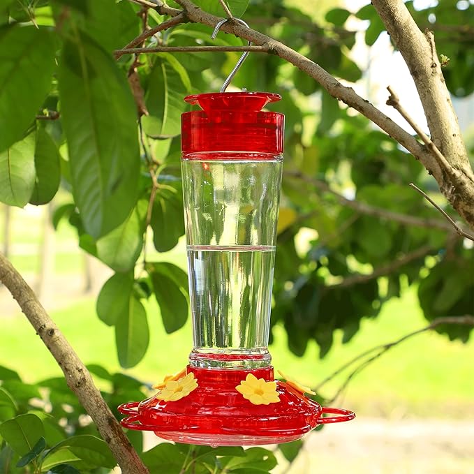 Shrdaepe Hummingbird Feeder, Glass Bottle Bird Feeders, 5 Feeding Ports, 10-Ounce Nectar Capacity, 2 Pack