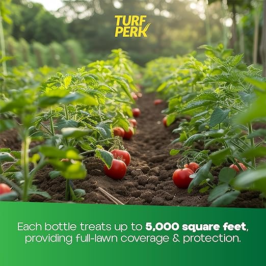 Turf Perk Garden Perk All Natural Liquid Solution – 32 fl oz Hose-End Spray – Concentrate Makes Up to 32 Gallons – Plant & Vegetable Nutrient Formula – Lawn & Garden Use – Safe for Pets