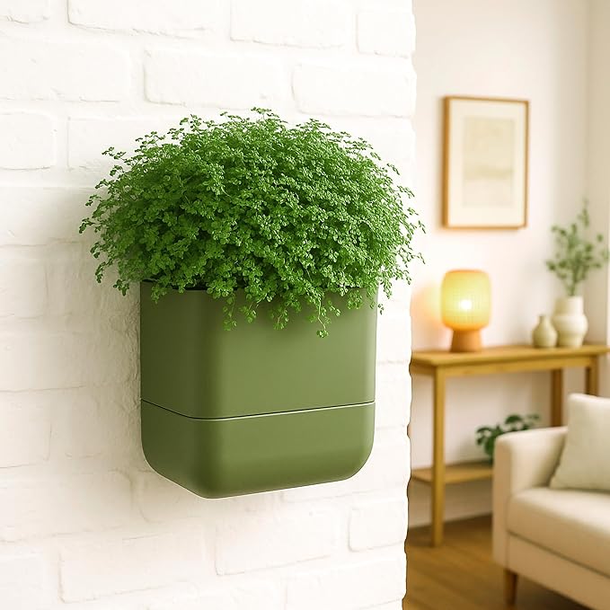 Phoenix Vine 6.5 Inch Wall Mounted Self-Watering Planter Pot for Indoor Houseplants and Herbs | Hanging Planter for Window Sills, Bathroom Walls, Home & Office Décor, Olive, Set of 1, 01-C-F-1