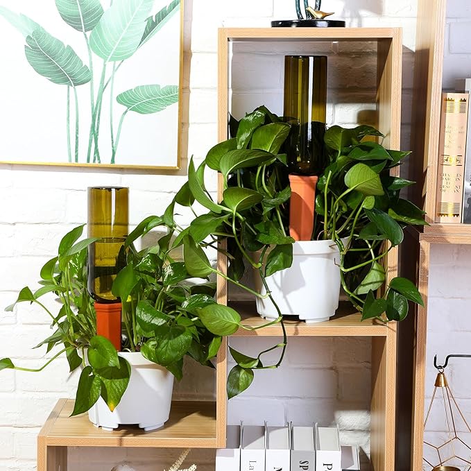 SiliFine 6 Sets Plant Watering Devices Include Terracotta Self Watering Spikes and 26 oz Plastic Bottles, Slow Release Vacation Insert Automatic Plant Waterer Device (Clear Green and Terracotta)