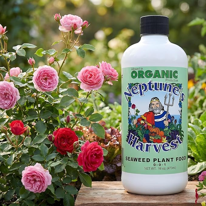 Neptune’s Harvest Seaweed Plant Food (0-0-1) - Multi-Purpose Seaweed Organic Liquid Fertilizer - Indoor & Outdoor Plant Fertilizer for Lawns, Gardens, Vegetables, & Flowers (Pint)