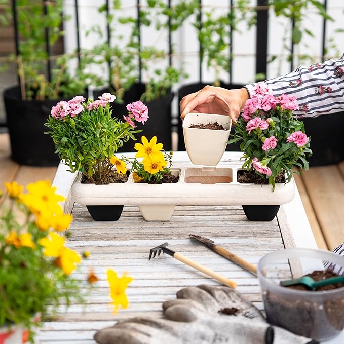 Eco-Friendly Wheat Fiber No Plastic Planter. Floating Window Shelf for Plants & Herb Garden with Removable Pots (Black & White Pots)