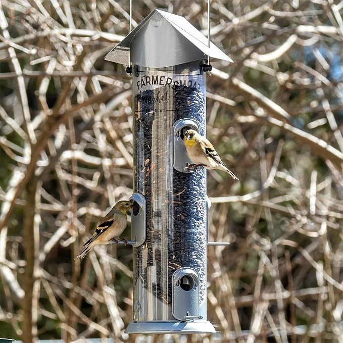 Wild Wings WWWMRS-Deco Farmhouse Deluxe Easy Clean Bird Feeder, Silver