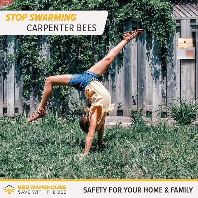 Carpenter Bee Trap - Wood Boring Bee Trap - Unique Catch & Release Outdoor Carpenter Bee Trap - Includes Hanging Hardware & 5 Bee Dams