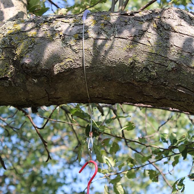 Songbird Essentials Hanging Cable Tree Limb Protector with S Hook - Steel Cable with Silicone Sleeve - Protects Tree Limbs from Heavy Bird Feeders and Decorations - 24 Inch Cable