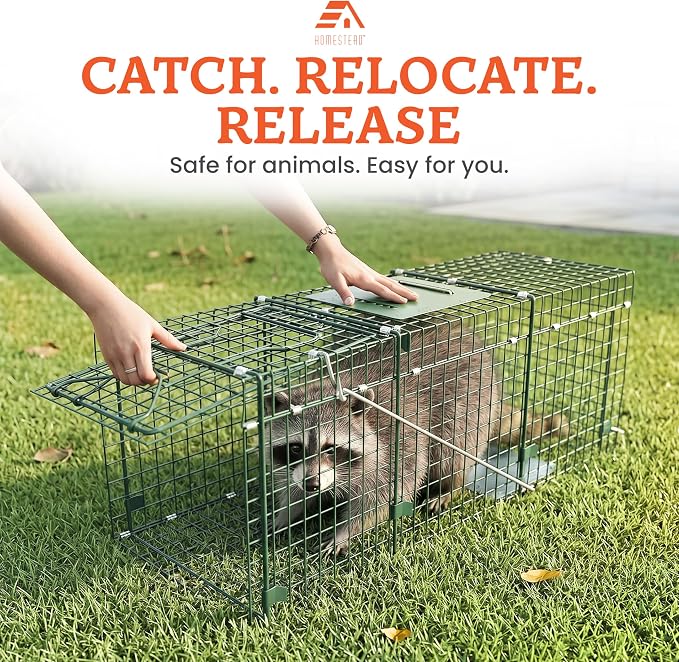 HOMESTEAD 32 Inch Heavy Duty Collapsible Live Animal Trap - Humane Catch and Release Trap for Squirrels, Stray Cats, Raccoons, Rabbits, Foldable Steel Trap, Space-Saving (32 Inch)