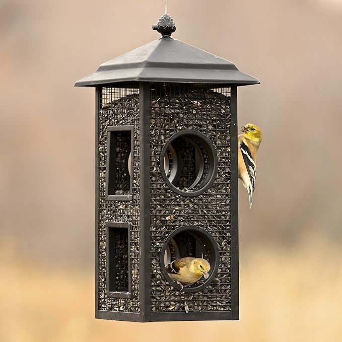 Perky-Pet Fly-Thru Wild Bird Feeder - 2 lb Capacity for Black-Oil Sunflower Seeds - Wild Bird Feeder for Outdoors - Outdoor Decor - B00303