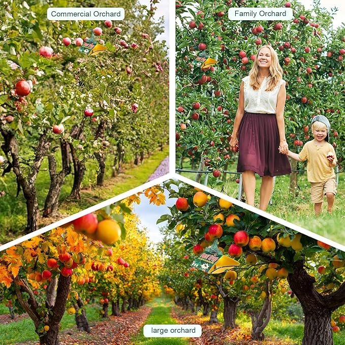 12 Pack Codling Moth Traps for Apple Trees with Pheromone Lures – Triangular Hanging Sticky for Apple Trees, Includes 12 Traps & 12 Lures, for Orchard & Garden Use