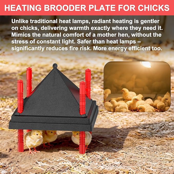 Chick Brooder Heating Plate with Anti Stand Cone, Adjustable Height Brooder Heater for Chicks, Downward Heat Distribution for Outdoor Barns & Coops (10" x 10" with Temp. Adjustments & Black)