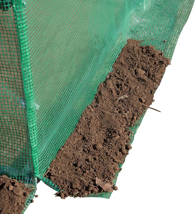 Outsunny 10' x 10' x 6.5' Walk-in Tunnel Hoop Greenhouse, Green House for Outside with PE Cover, Steel Frame, Roll-Up Zipper Door & Windows for Flowers, Vegetables, Tropical Plants, Green