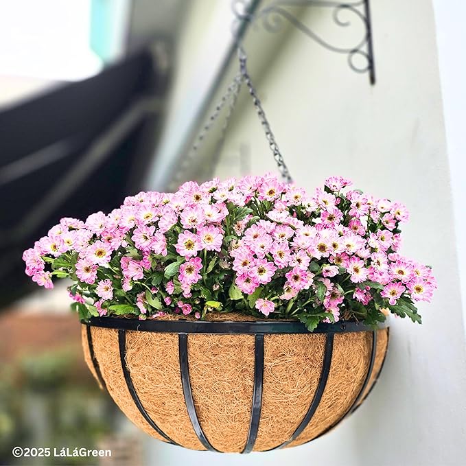 LaLaGreen 20" (2 Pack, Round) Coco Liners for Hanging Basket – Large Coir Fiber Replacement Liner for Pot, Outdoor Wall Mounted Planter – Also Available in 8/10/12/14/16/18 Inch & Different Shapes