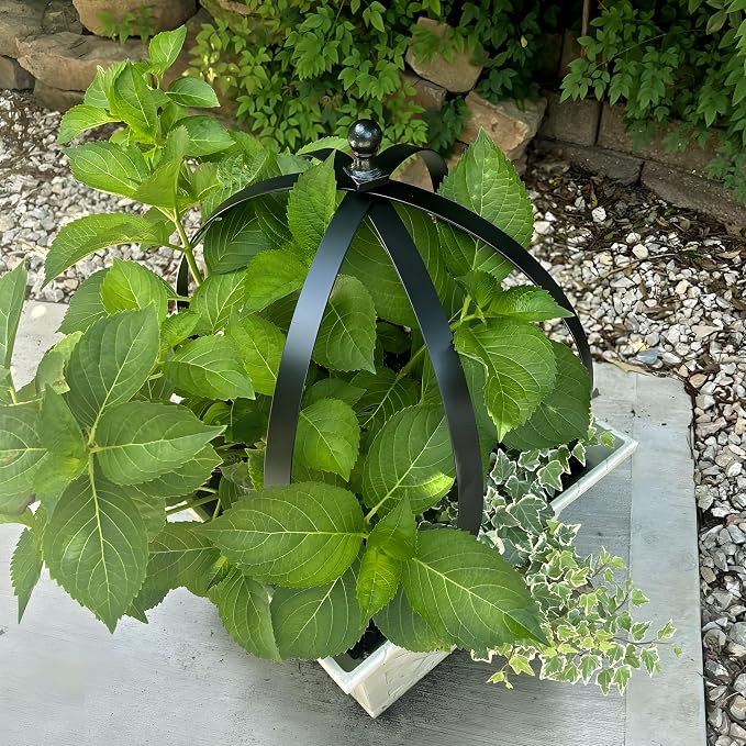 YOHSNOR Set of 2 Metal Garden Trellis Obelisks - Durable Black Powder Coated Round Climbing Frames for Plants - Ideal Decorative Support for Flowers & Vines - Ideal for Indoor & Outdoor Gardens