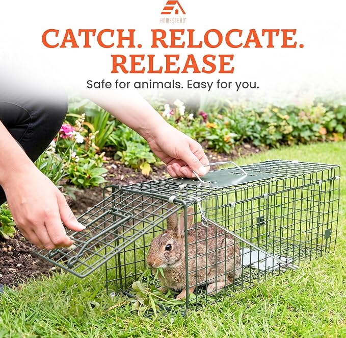 HOMESTEAD 24 Inch Heavy Duty Collapsible Live Animal Trap - Trap for Squirrels, Chipmunks, Rabbits, Kittens, Foldable Steel Trap (24 Inch)