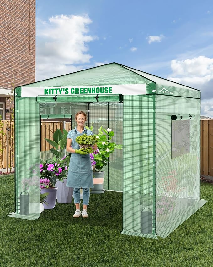 Acepic 8x8 Instant Pop up Greenhouses, Indoor Outdoor Portable Greenhouse Walk-in for All Season, Small Green House with Roll-Up Zipper Doors and Side Windows, 4 Sandbags, Pe Cover, Green/Clear