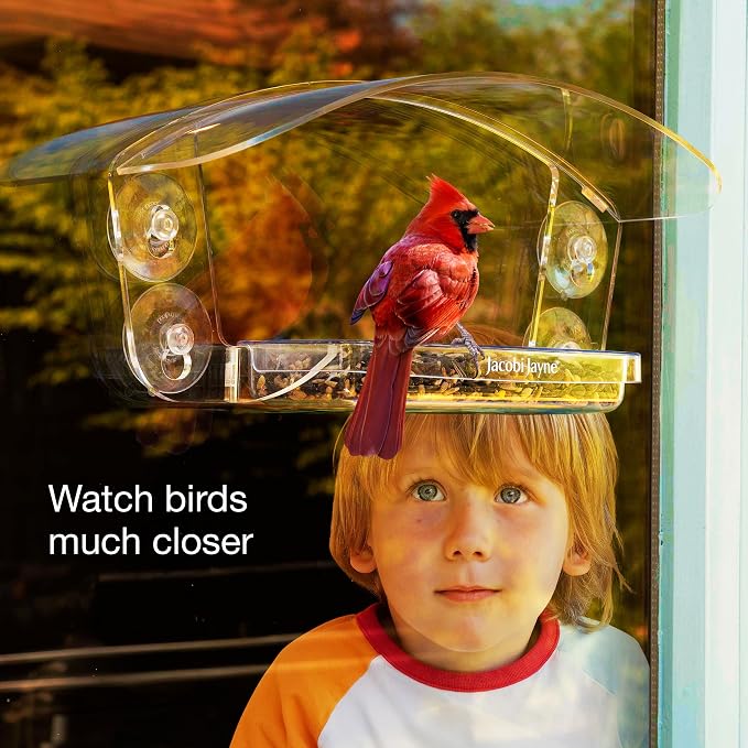 Transparent Acrylic Bird House with Sliding Tray - Jacobi Jayne® Sky Deck™ Window Feeder - Strong Suction Cups Secure This Clear Design for Close-up Bird Watching from Your Home.