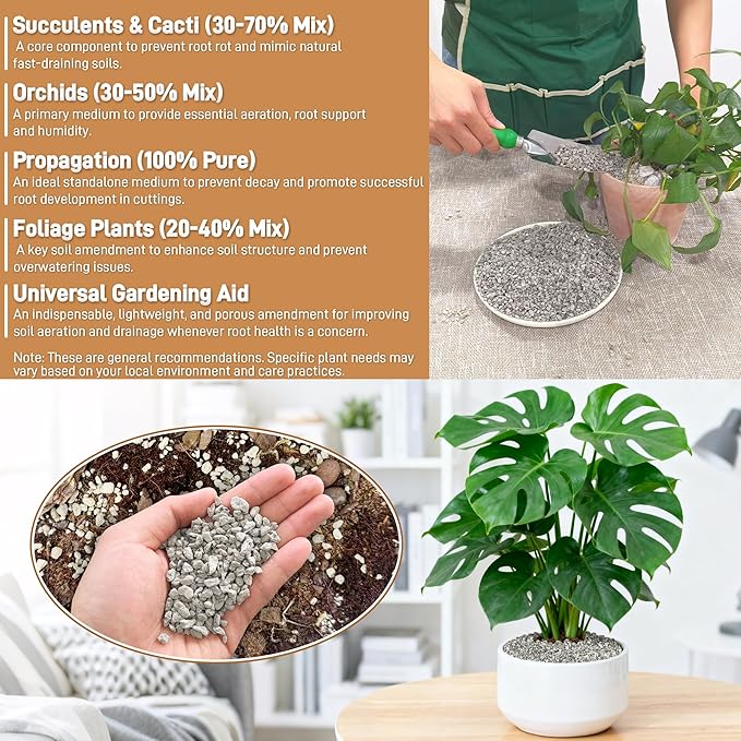 Pumice for Plants, 3 Quarts (1/4 Inch) Horticultural Pumice Stone, Natural Soil Amendment for Succulent Cactus Bonsai for Orchid Potting Mix, Improve Drainage & Aeration