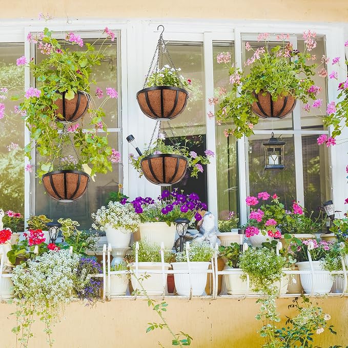 Didaey 8 Pcs Metal Hanging Basket with Coconut Coir Liner Hanging Flower Basket with Chain Indoor Outdoor Plant Flower Pot 10 Inch Round Wire Plant Holder for Garden, Patio, Deck, Porch Garden Decor
