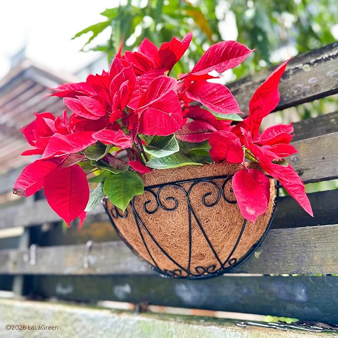 LaLaGreen 14" (4 Pack, Half Round) Coco Liners for Wall Planter Outdoor Plants – Medium Coir Fiber Replacement for Window Box, Hanging Basket, Holder-Also Available in 10/12/16’’ & Different Shapes