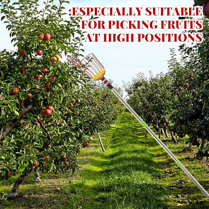 Colingmill 26ft Fruit Picker Pole with Basket, Telescoping Fruit Picking Tool with Soft Cushion, Extendable Harvester for High Trees, No Ladder Needed for Apple, Cherry, Orange, Citrus, Peach