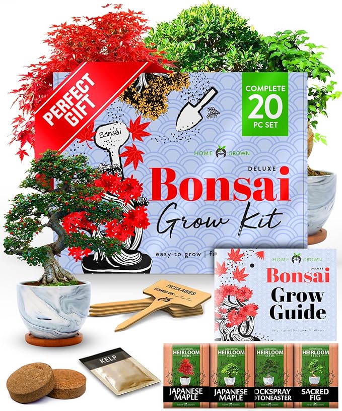 Bonsai Tree Growing Kit 2-Pack – Premium Ceramic Starter Set + 4 Bonsai Trees Variety Kit – Unique DIY Gardening Gift for Men, Women, Beginners & Nature Lovers – Indoor Plant Hobby & Gift Idea
