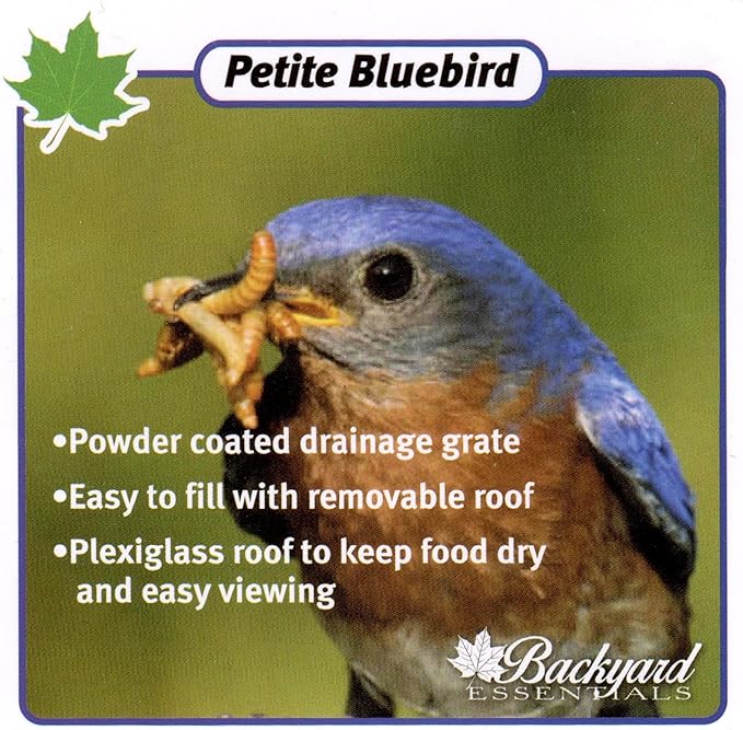 Petite Bluebird Feeder with Plexiglass Roof and Powder Coated Steel Mesh Basket Bird Feeder Tray