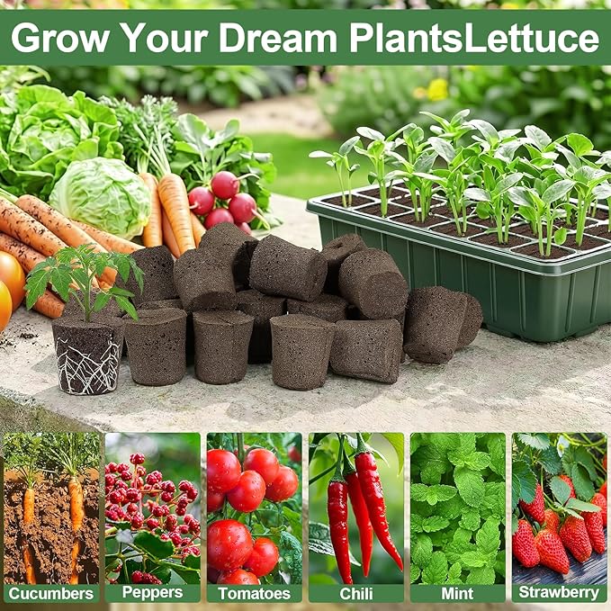 Grow Sponges with Tray, 24 Pack Seed Starter Pods & Starter Plugs for Cuttings, Hydroponic Grow Sponges for Seed Starting, Plant Plugs for Herbs Vegetables Flowers, Easy Transplant Rooter Pods