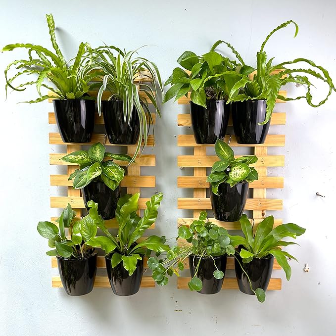 ShopLaLa Bundle- 2 Pack, 11.4 Inch Wooden Plant Holder + 10 Pack, 4 Inch Self Watering Plastic Pot Hanging Vertical Wall Mount Hydroponic Garden Indoor Frame Display Live Air Plants Orchids Decoration