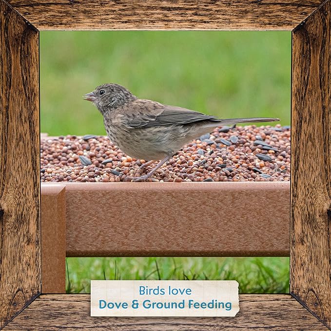 Morning Song Dove & Ground Feeding Wild Bird Seed -12 lb. Dove, Quail & Pigeon Wild Bird Food for Outside Feeders