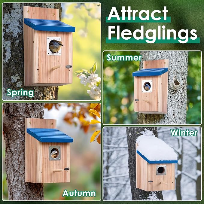 Dreyoo 8 Pack Bluebird Houses for Outside, 1-1/2'' Entrance Hole Wooden Bluebird Houses for Outdoors with Metal Guard, Secure Latch, Fledgling Grooves, Air Vents (Blue Roof with Wood Body)