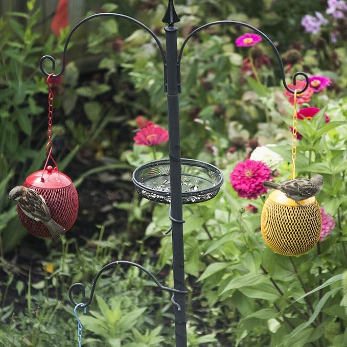 Backyard Expressions - Set of 3 Squirrel Proof Bird Feeders for Outside - Bonus Ebook and Bird Attraction Audio Included - Squirrel Resistant Bird Feeders