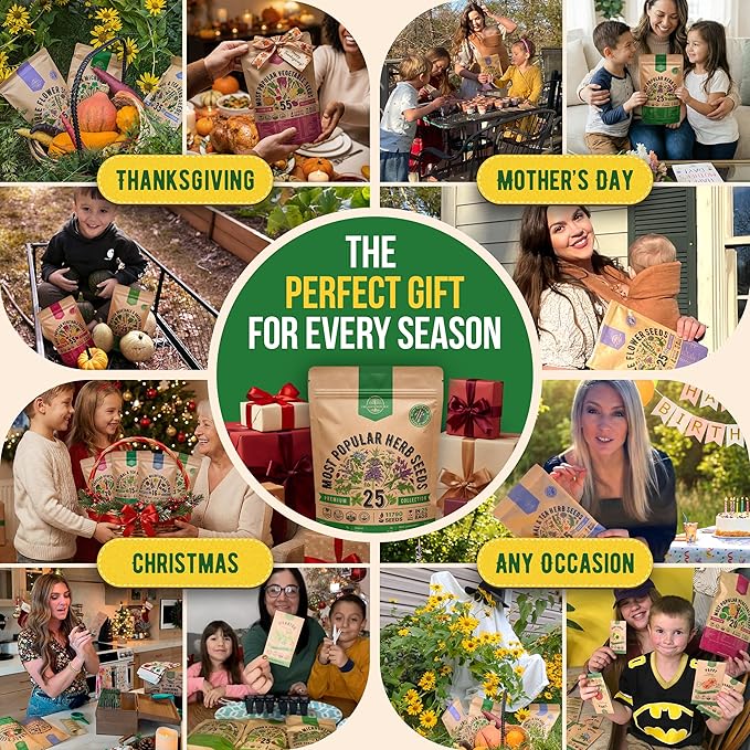 25 Most Popular Herb Seeds Variety Pack - 11,700 Non-GMO Heirloom Seeds for Planting Herbs in Individual Seed Packets for Hydroponic, Indoor & Outdoor Gardening - 2026 Season: Catnip, Dill, Thyme