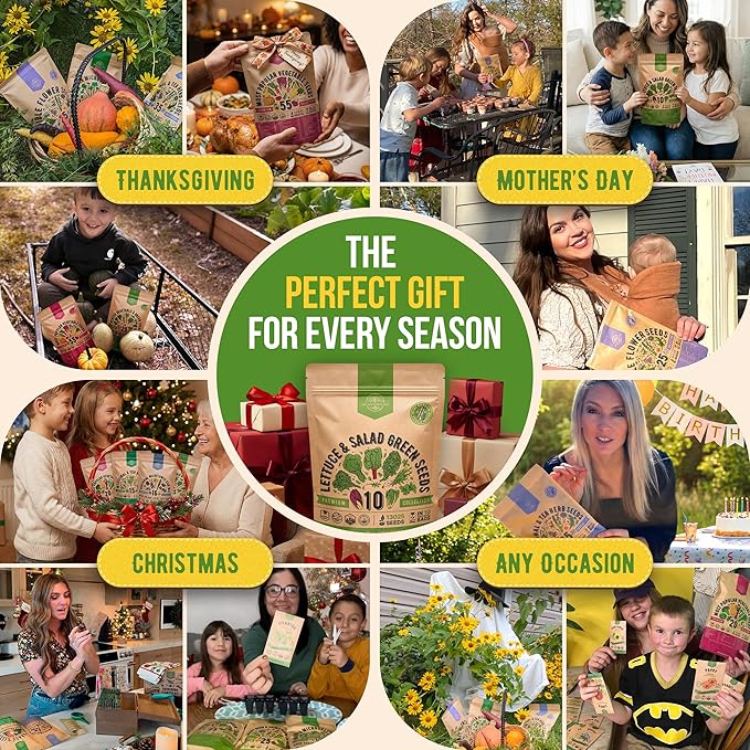 Organo Republic 10 Lettuce & Salad Greens Seeds Variety Pack 13000+ Non-GMO Heirloom Lettuce Seeds for Planting Indoors & Outdoors Garden, Hydroponics - Arugula, Radicchio, Kale, Spinach, Swiss Chard