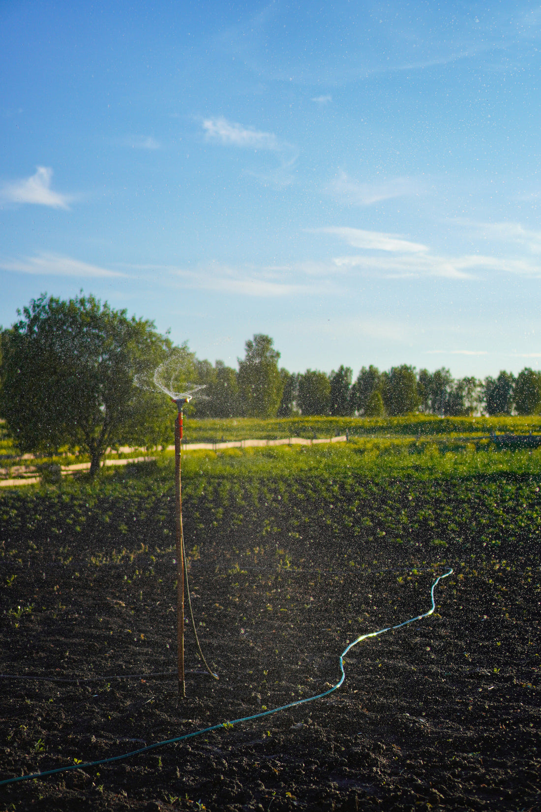 How to Install Drip Irrigation Systems at Home