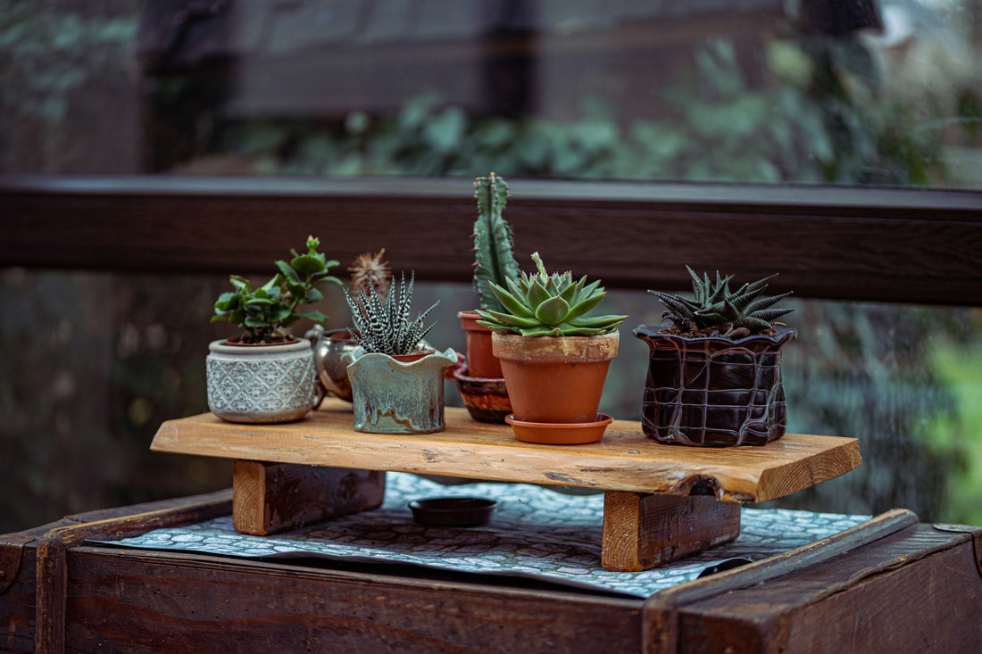 Winter Gardening: Indoor Growing Solutions and Tools