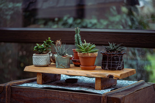 Winter Gardening: Indoor Growing Solutions and Tools