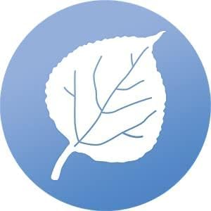 WindowAlert Aspen Leaf Anti-Collision Decal 4 Pack - UV-Reflective Window Decal to Protect Wild Birds from Glass Collisions - Made in The USA