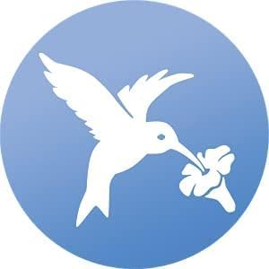 WindowAlert Hummingbird Anti-Collision Decal 4 Pack - UV-Reflective Window Decal to Protect Wild Birds from Glass Collisions - Made in The USA