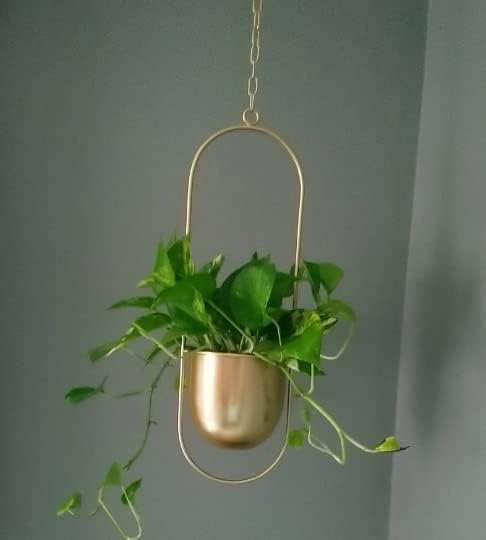 Shineloha 2 Pack Hanging Planters for Indoor Plants with 5.5" Pot + Ceiling Hook | Gold Hanging Planter, Gold Plant Hanger, NO Plant incld