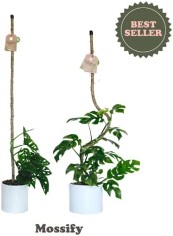 Mossify Bendable Coir Pole for Plants – 30” Premium Manila Coir Moss Pole Monstera Plant Support for Indoor & Outdoor Plant Climbing Support - Comes with Reusable Tape for Durable Plant Pole