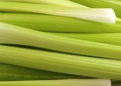 Celery Golden Pascal Great Heirloom Vegetable Seeds by Seed Kingdom (1 Oz Seeds)