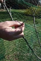 Netting Rolls 330' x 18" Wide. A Great Deer Deterrent for odd Shaped Plants and Especially Young Trees. Also Provides Protection for Your Plants from Heavy Snow and ice Damage.