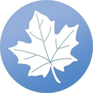 WindowAlert Maple Leaf Anti-Collision Decal 12 Pack - UV-Reflective Window Decal to Protect Wild Birds from Glass Collisions - Made in The USA