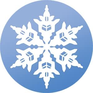 WindowAlert Snowflake Anti-Collision Decal - UV-Reflective Window Decal to Protect Wild Birds from Glass Collisions - Made in The USA