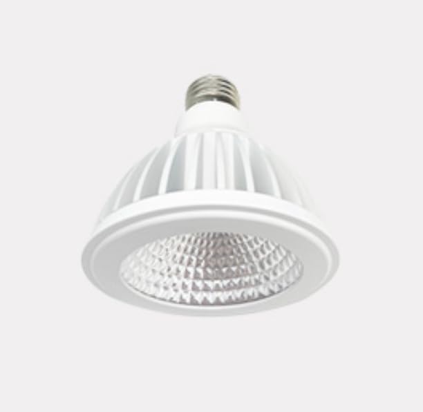 LED PAR30 Grow Light Bulb, E26,3000K, 20W Full Spectrum for Indoor Plants, Flowers, Garden
