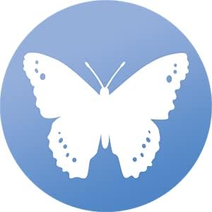WindowAlert Butterfly Anti-Collision Decal - UV-Reflective Window Decal to Protect Wild Birds from Glass Collisions - Made in The USA